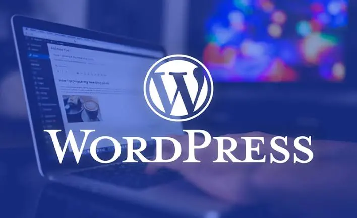 Web Hosting